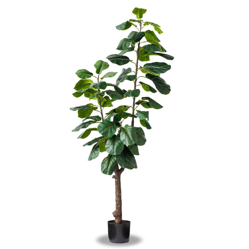 Primrue Faux Fiddle Leaf Fig Tree in Pot & Reviews Wayfair